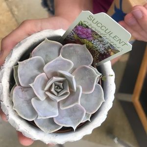 Meet your Posher, Charise